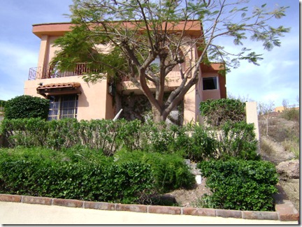 DSC00618