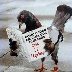 [pombo_portugues2.jpg]