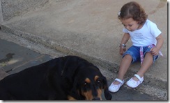 Imagem 015