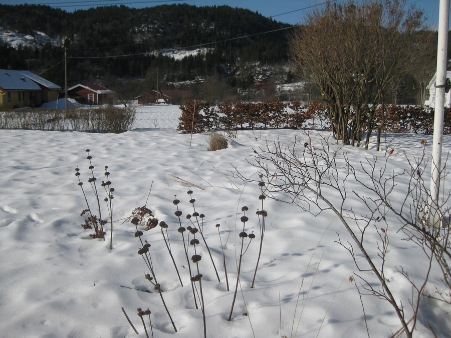 [2011-03-05 Hagen på Møll (2)[9].jpg]