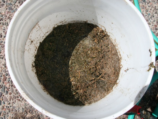 Compost2 050411