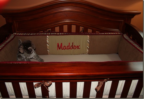 Maddox's nursery (part 2) 010