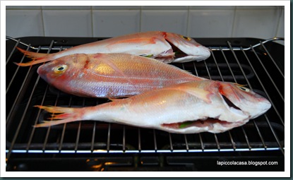 fragoliini pagelli alla griglia e erbette fragoliini pagelli alla griglia e erbette
