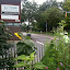 Local Flora... Local Flora...