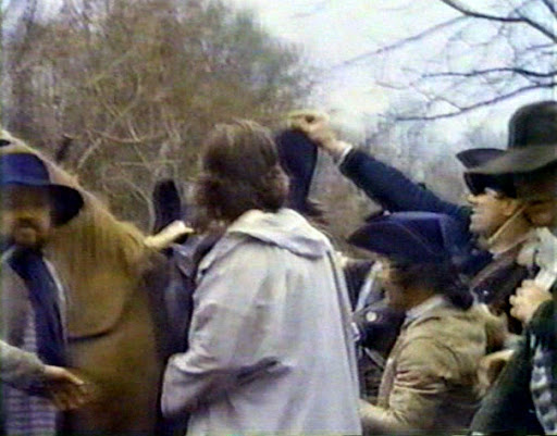 The Horse Collector