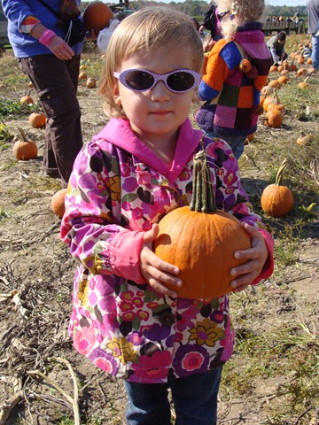 [DSC04677[2].jpg]