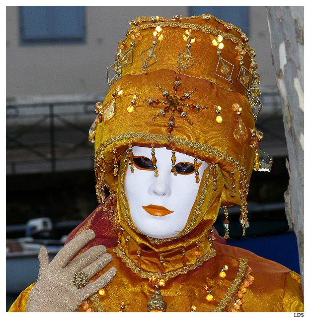 Sortie au Carnaval Vénitien d'Annecy 28/02 - Les Photos - Page 2 P1160909_1