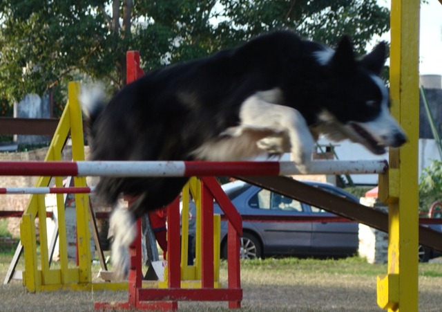[DSC02965[13].jpg]