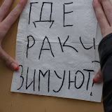 Где раки зимуют?