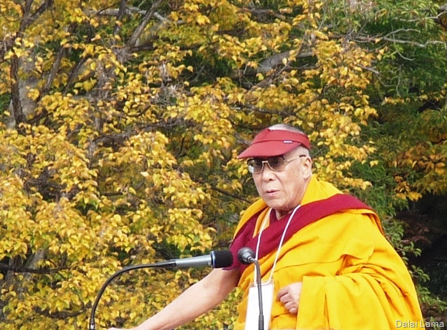 [P1130131[13].jpg]