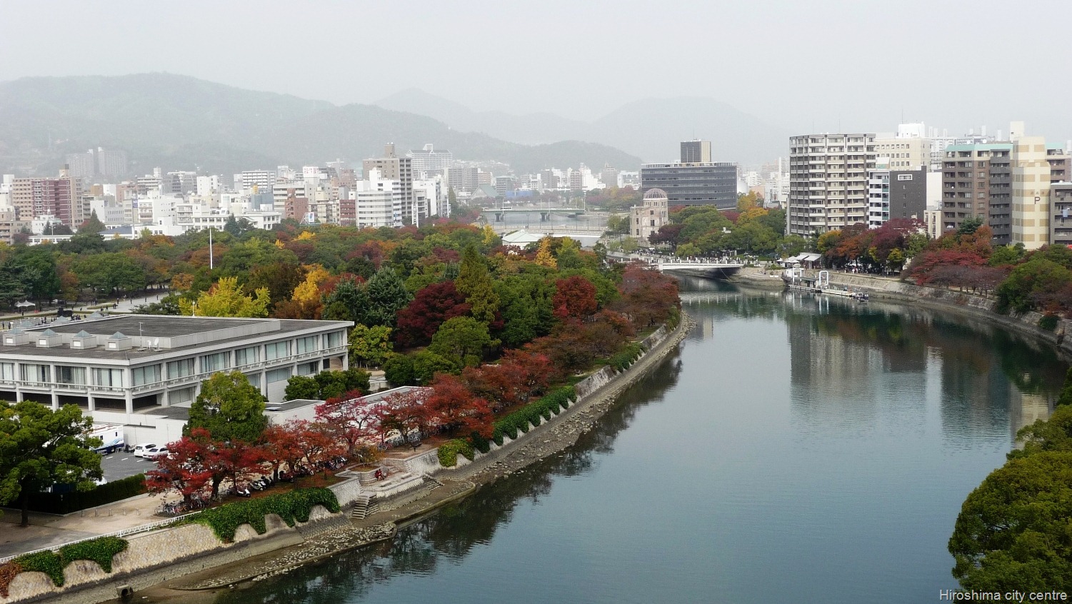 [P1130154[21].jpg]