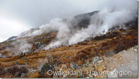 Owakudani, Hakone region, Japan