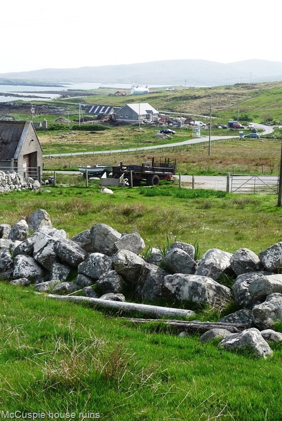 [P1140661[4].jpg]