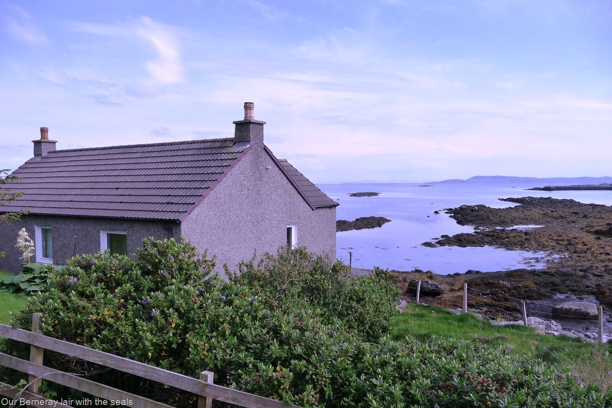 [P1140722[14].jpg]
