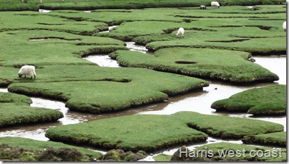 Harris west coast
