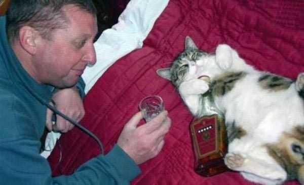 38 imagens divertidas, inusitadas, bizarras, incomuns e loucas