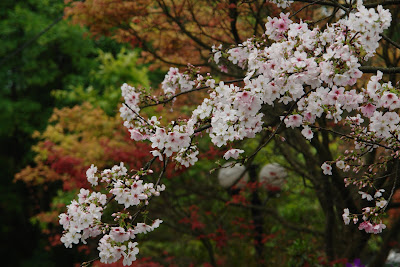 Spring Arriving at Caoshan