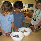 Picture 040.jpg