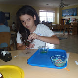 Picture 006.jpg