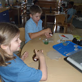 Picture 014.jpg