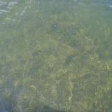 Picture 035.jpg