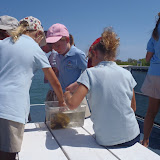 Picture 041.jpg
