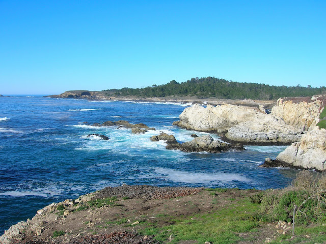 Rugged coastline