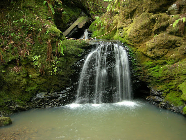A delicate falls in a lush setting