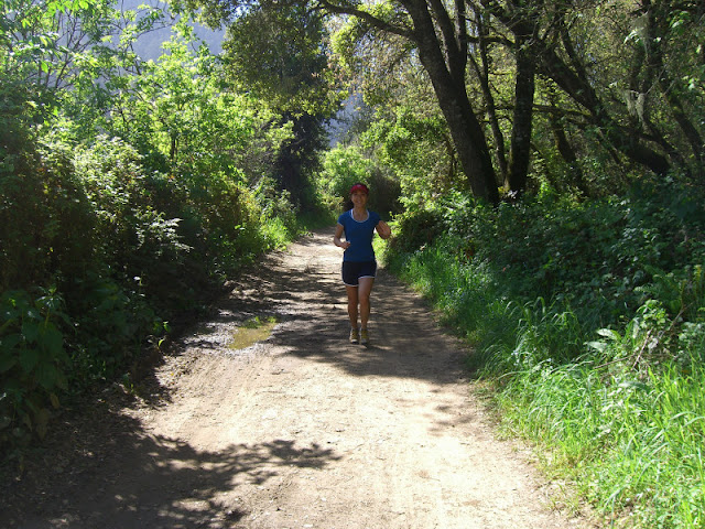 Serena running the Skyline to the Sea Trail