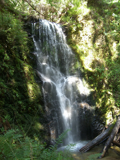 Berry Creek falls with much less volume than February!