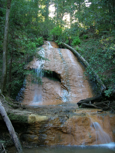 Golden Cascade