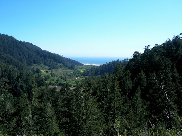 Waddell Beach from the Clark Connector Trail