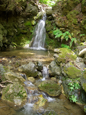 Waterfall on upper Los Trancos Creek