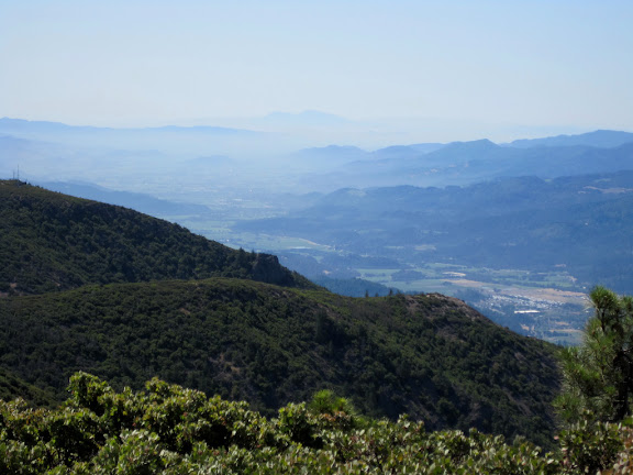 Looking down Napa Valley with Mount Diablo in the distance