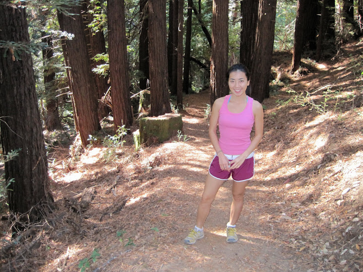 Redwood needles cover the Bridle Trail