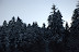 DSC_0090.jpg
