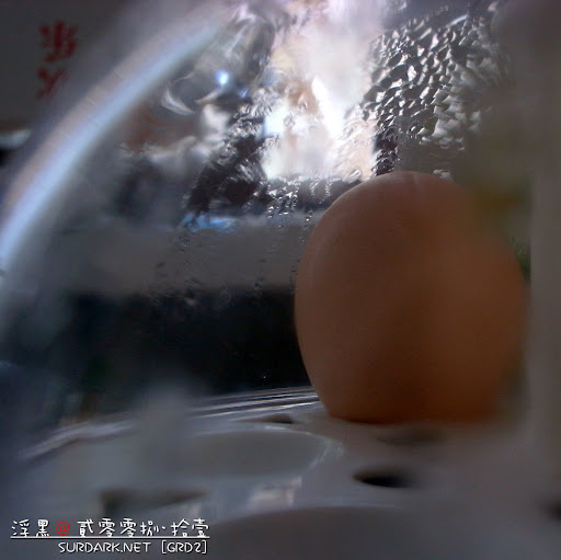 小熊煮蛋器