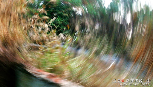 20090107眩.jpg