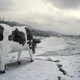 nieve 2010