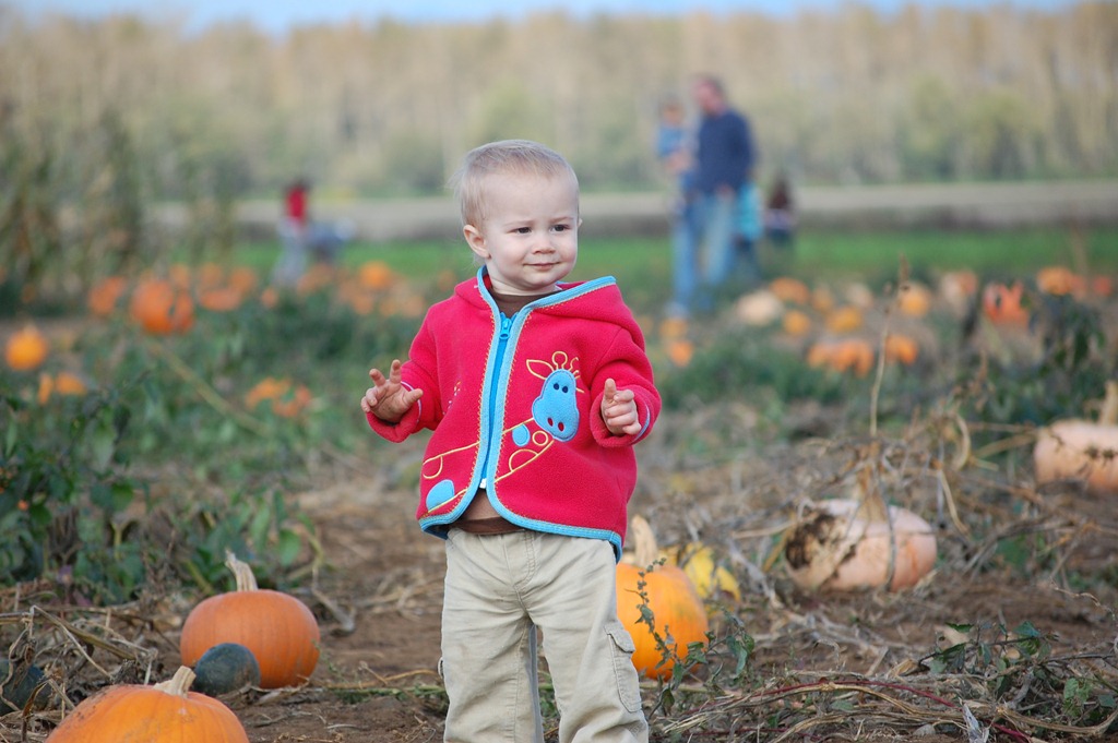 [Fall 2010 660[4].jpg]