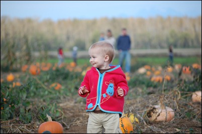 Fall 2010 662