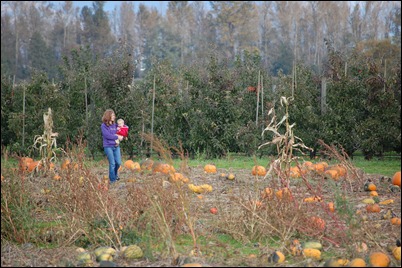 Fall 2010 747