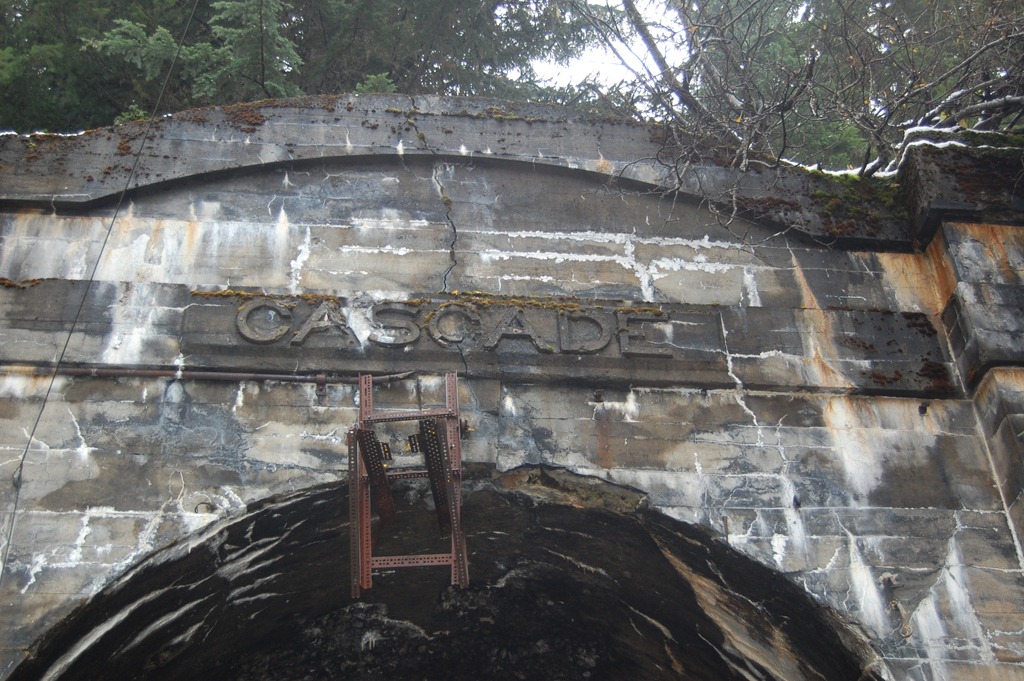 [DSC_0330[5].jpg]
