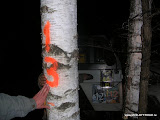 file_0008.jpg