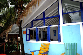 tarzan house - esterno
