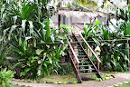 tarzan house - esterno