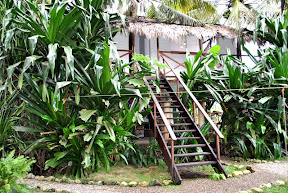 tarzan house - esterno