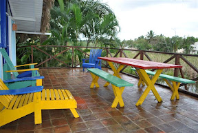 tarzan house - interni