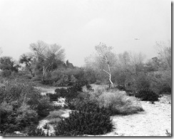 adams-photo3-005 adams-photo3-005