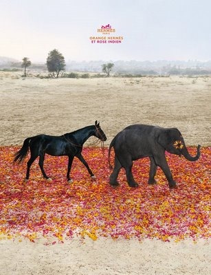 [hermes-ss2008-horse-elephant[5].jpg]